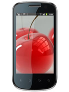 Best available price of Celkon A19 in Panama