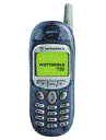 Best available price of Motorola T190 in Panama