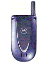 Best available price of Motorola V66i in Panama